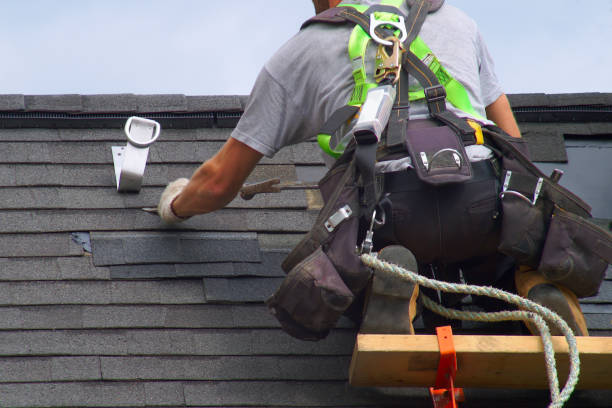 Best Sealant for Roof  in Hazel Park, MI
