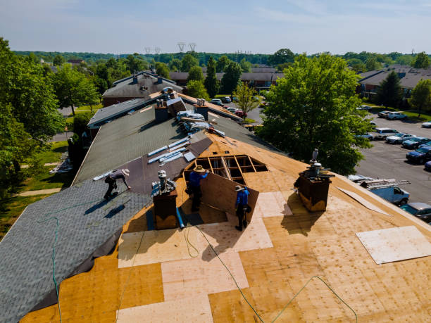Roof Repair Estimates in Hazel Park, MI