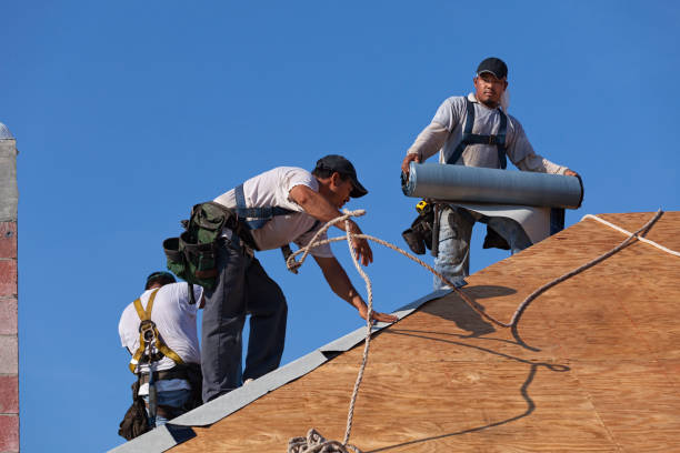 Best Sealant for Roof  in Hazel Park, MI