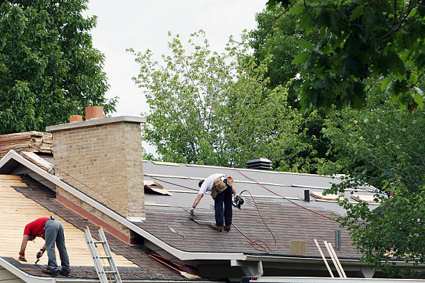 Best Tile Roofing Contractor  in Hazel Park, MI