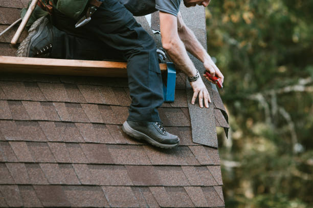 Quick and Trustworthy Emergency Roof Repair Services in Hazel Park, MI
